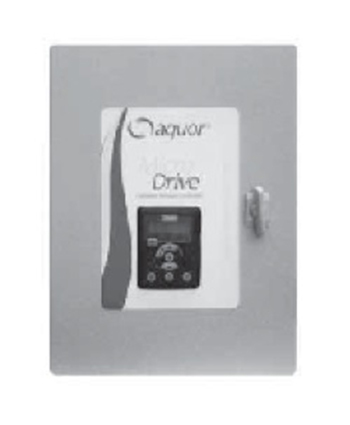 Pentair Clean & Clear Plus